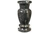 Limestone Vase With Orthoceras Fossils #122448-2